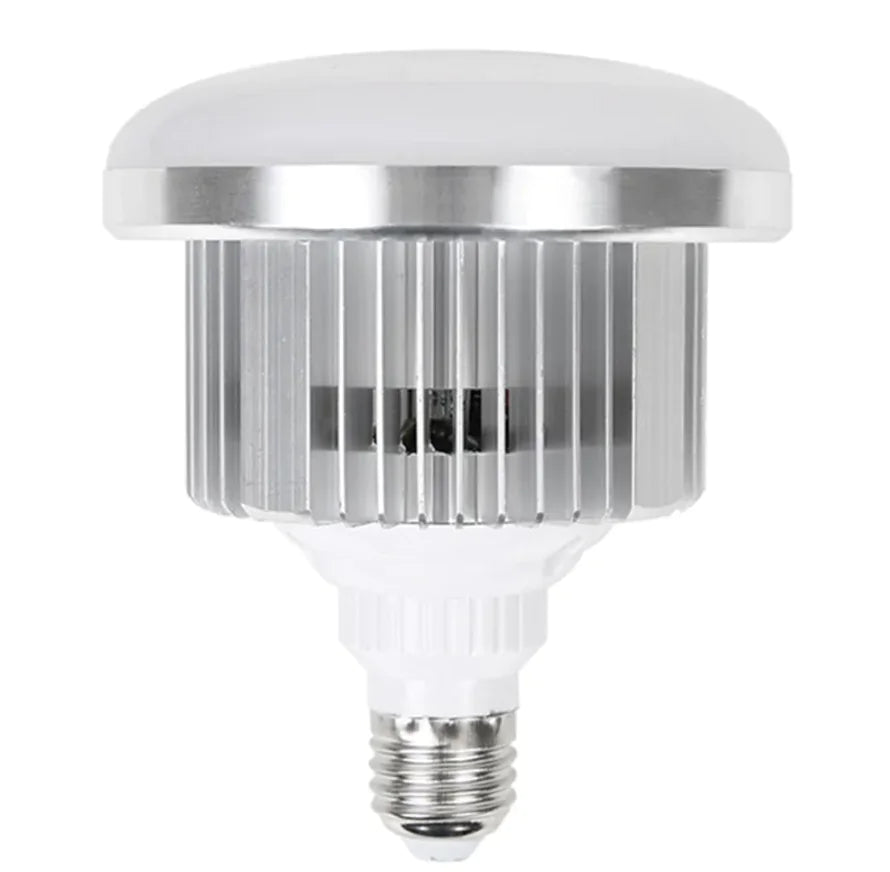 LED Fill Light